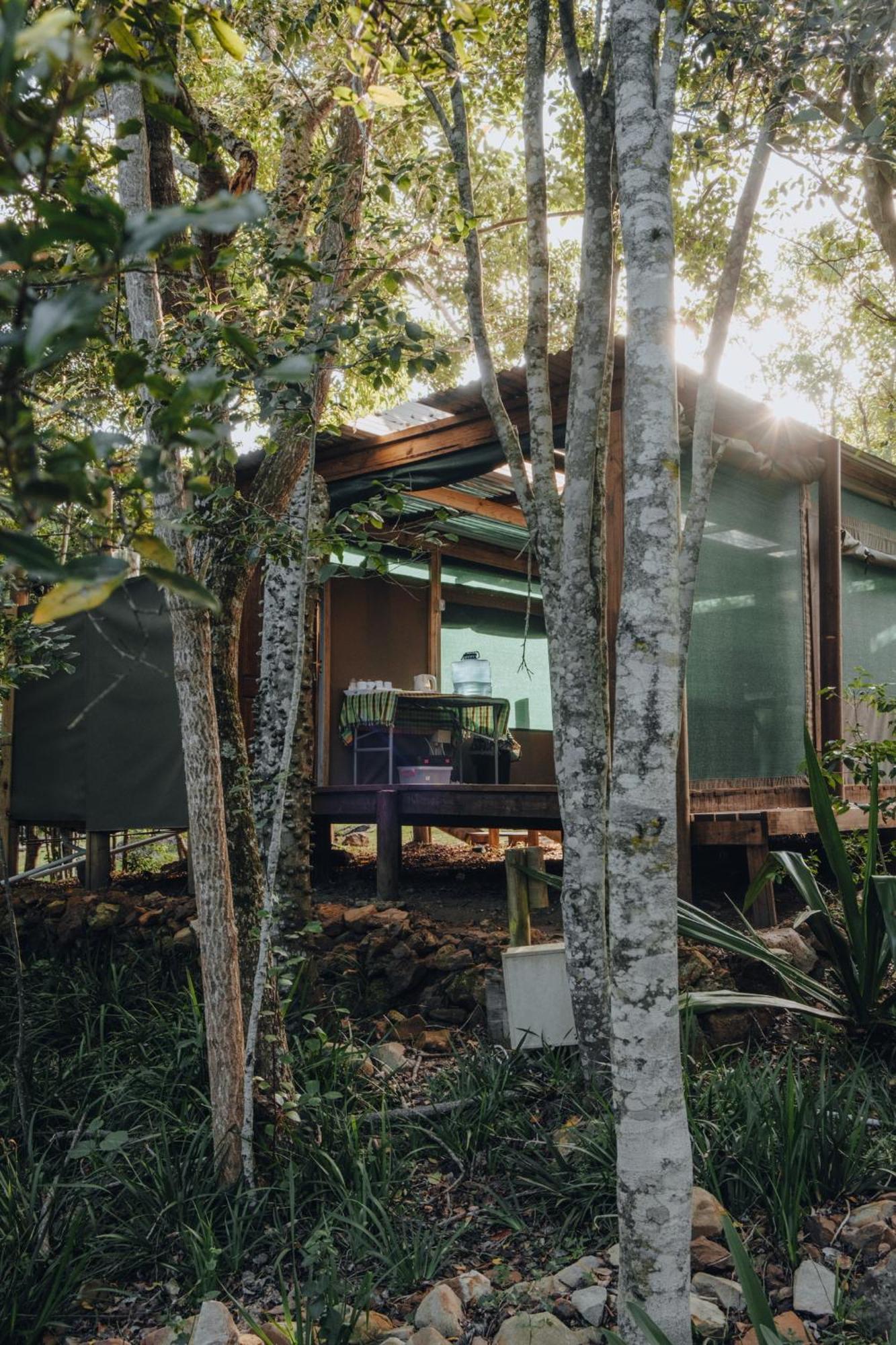 Firefly Falls Plettenberg Bay Exteriör bild